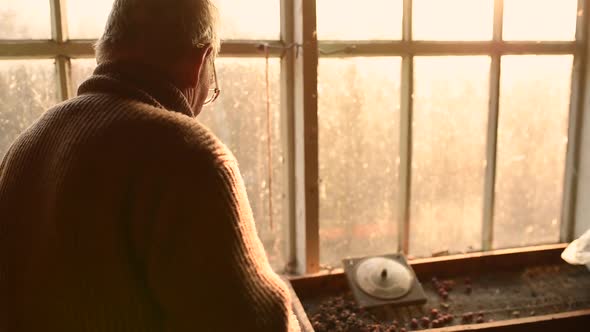 Elderly Man Glasses Picks Up Old Stuffs Brushing Dust Off in Attic House Window