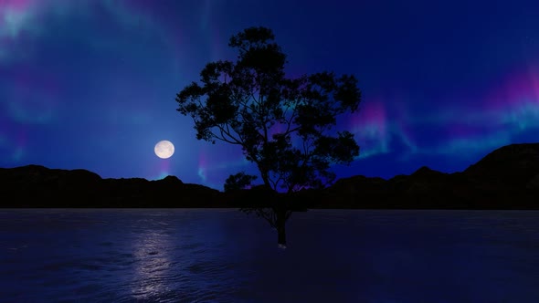 Night Sky Aurora Borealis Lake Loop
