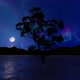 Night Sky Aurora Borealis Lake Loop - VideoHive Item for Sale