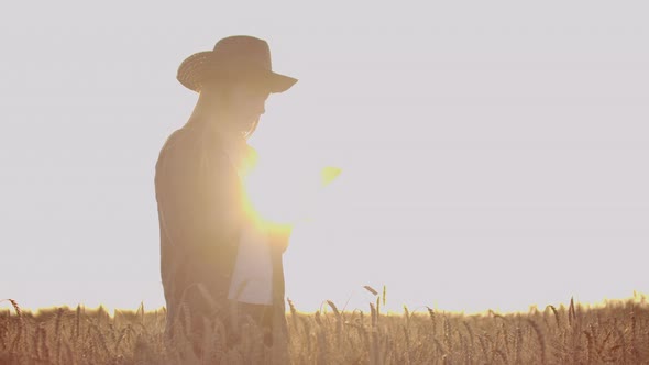 A Farmer Girl with a Tablet Computer in Her Hands Examines the Ears of Rye and Enters Data Into the