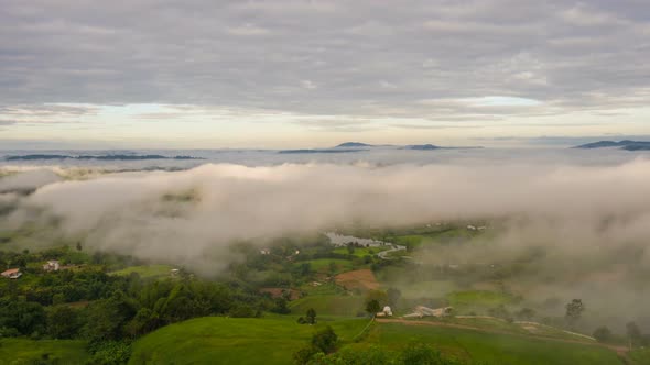 Fog Landscape