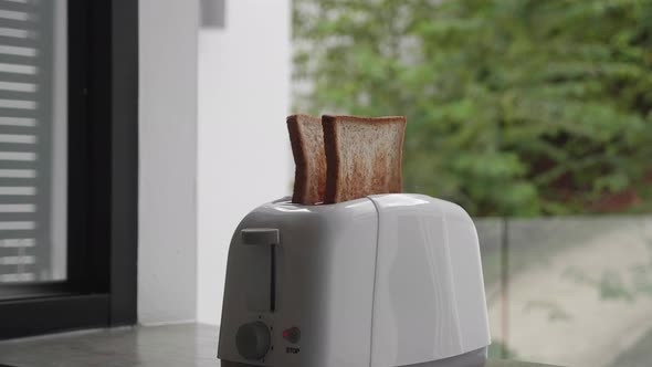 Roasted Toast Bread Popping Up From White Modern Toaster Machine