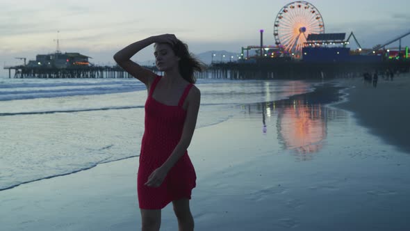 Walking on Santa Monica beach, at sunset