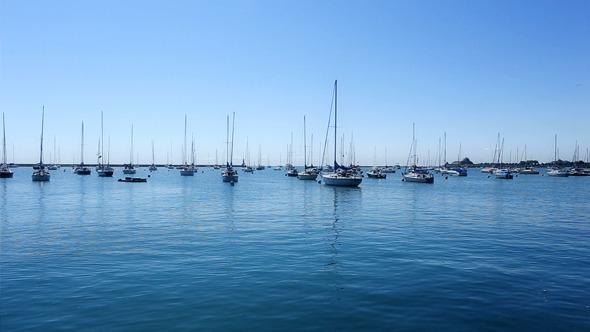 Many Sail Boats and Masts in a Marina 1
