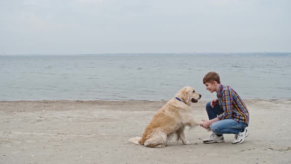 Smart Golden Retriever Training on Beach