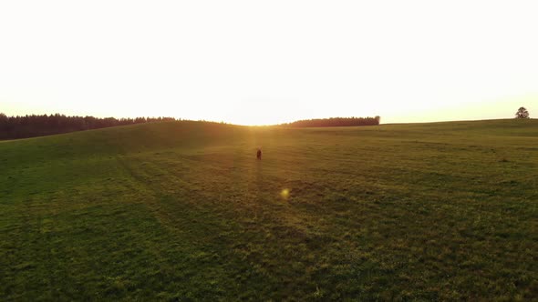 Shooting From Drone of a Young Girl Running Through Green Hilly Meadows Against the Backdrop of a