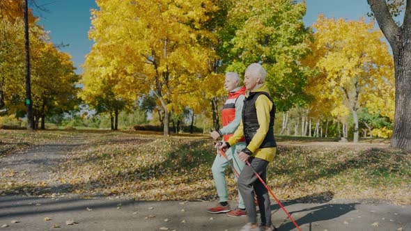 Aged Women Doing Nordic Walking in Sunny Yellow Fall Park Passing View