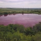 Aerial Landscape with Unusual Pink Technical Lake, Pink Water By Chemicals - VideoHive Item for Sale