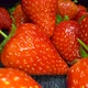 Red sweet strawberry - VideoHive Item for Sale