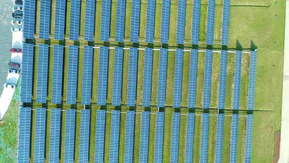 Aerial View of Solar Panels Farm (Solar Cell) with Sunlight