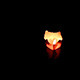 Lantern Floating on the Water at Night - VideoHive Item for Sale