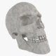 Human Skull - 3DOcean Item for Sale