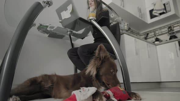 Woman Works With Her Laptop Close To Her Dog.