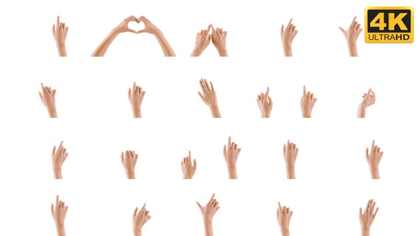 20 Hand Gestures 4K (Alpha Channel)