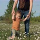 A Young Mother Walks with Her Child in a Flower Field. A Woman Holding Her Son's Hands in the Park - VideoHive Item for Sale