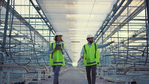 Two Engineers Planning Production Process in Empty Greenhouse Discussing