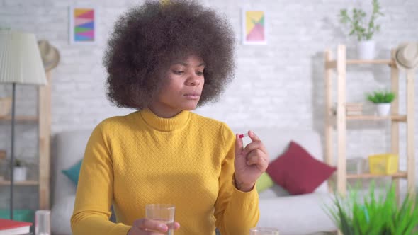 Beautiful African American Girl with an Afro Hairstyle