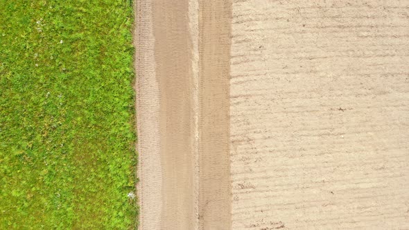 Crop Agricultural Field. Aerial View