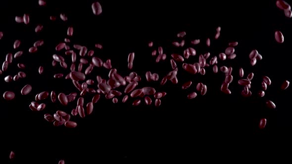 Beans Beans Will Do Up and Fall Down on a Black Background. Slow Motion. Food Video