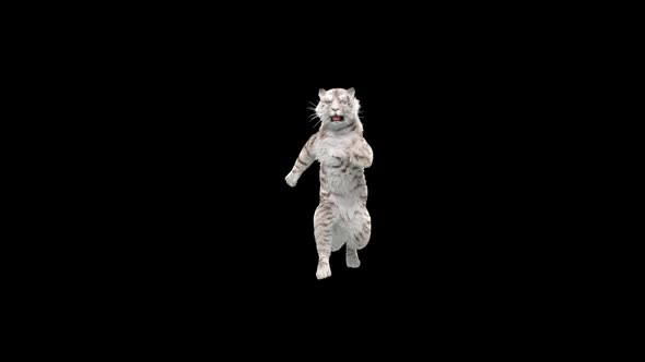 White Tiger Dancing HD