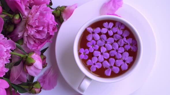 Slow Motion Wind Blowing Pink Peonies Flowers and Cup of Tea on Bright Table