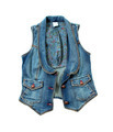 Blue denim vest with flowers lining and bronze ornated buttons - PhotoDune Item for Sale