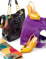 Snake leather fashion accesories still life composition - PhotoDune Item for Sale