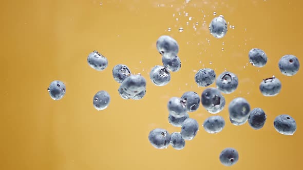 Blueberries Fall and Float in Water