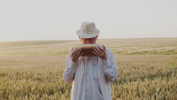 Happy Senior Man Kisses and Caresses a Loaf of Bread and Rejoices in Wheat Field