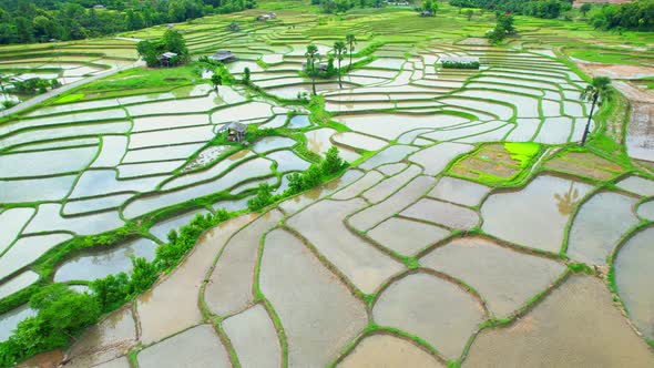 An aerial view over the beautiful rice terraces