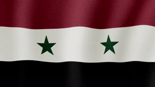 The National Flag of Syria alt