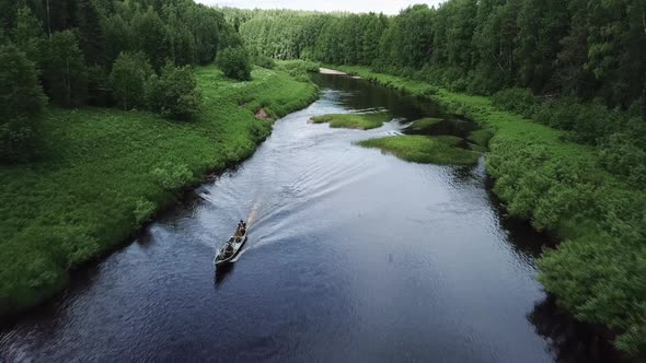 Aerial Drone View Flight Over Pine Tree Forest