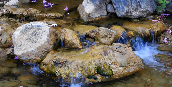 Waterfall and Flowers