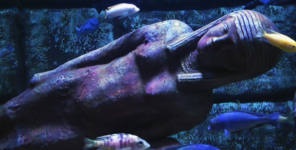 Aquarium and Antique Age Statue