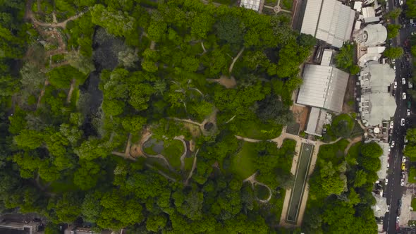 Pharmaceutical Garden, Botanical Garden of Moscow State University