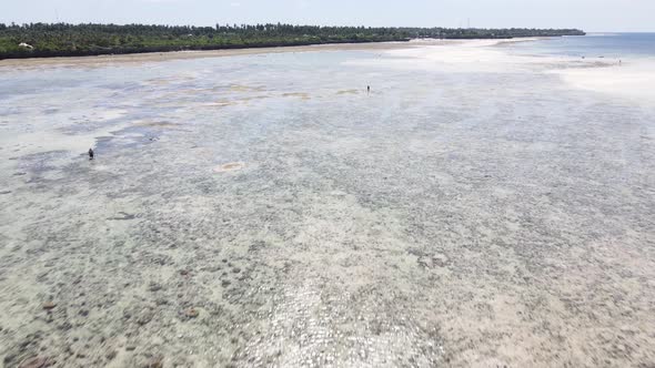 View From a Height of the Indian Ocean Near the Coast of Zanzibar Tanzania