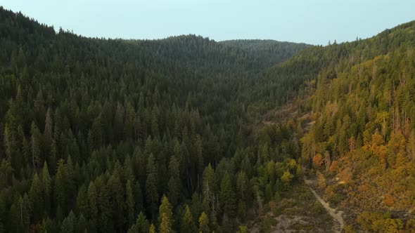 Flying over a forest in Northern California