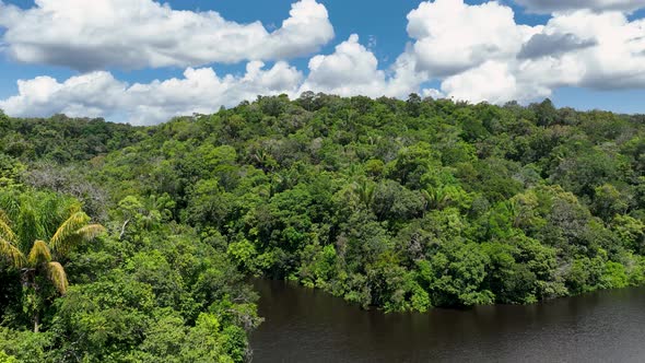 Stunning landscape of Amazon Forest at Amazonas State Brazil.