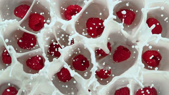 Super Slow Motion Shot of Fresh Raspberries Falling Into Cream at 1000Fps