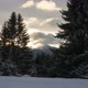 Winter Landscape in the Spruce Forest - VideoHive Item for Sale