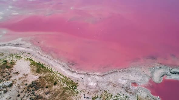 Aerial view looking down at shoreline along pink water of the Great Salt Lake