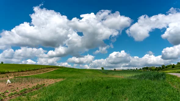 Rural landscape