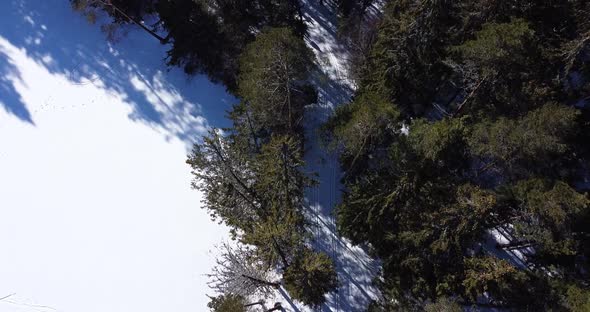 Group of Athlete Contestant Skiers are Skiing While Aerial Drone Footage