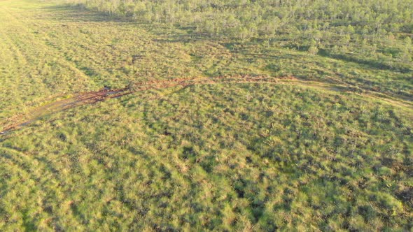 Aerial View of the Endless Swamps Covered with a Thick Layer of Moss and Grass