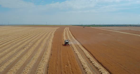 Drone Shot with Revealing Top View of Mowing Machine, Harvesting on Yellow Barley Field for Agricult