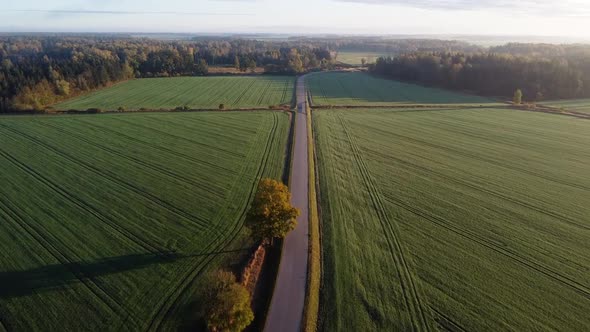 Drone flying over a small country road with green farming fields on the sides. Lithuania