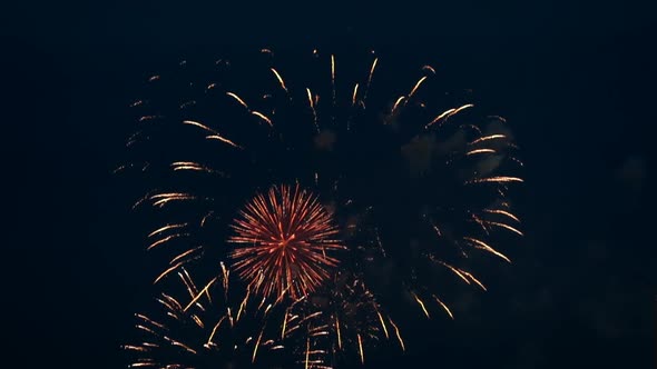 Colorful Fireworks at night.