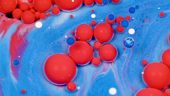 Amazing Red and Blue Bubbles of Paint on the Oil Surface. Paint in Oil