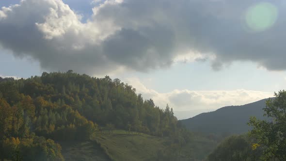 Hills covered by trees