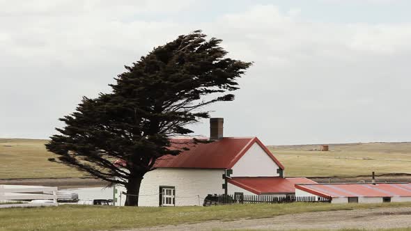 Houses of Goose Green, Falkland Islands (Malvinas).